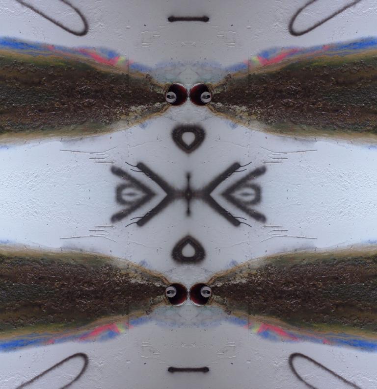 Bild
