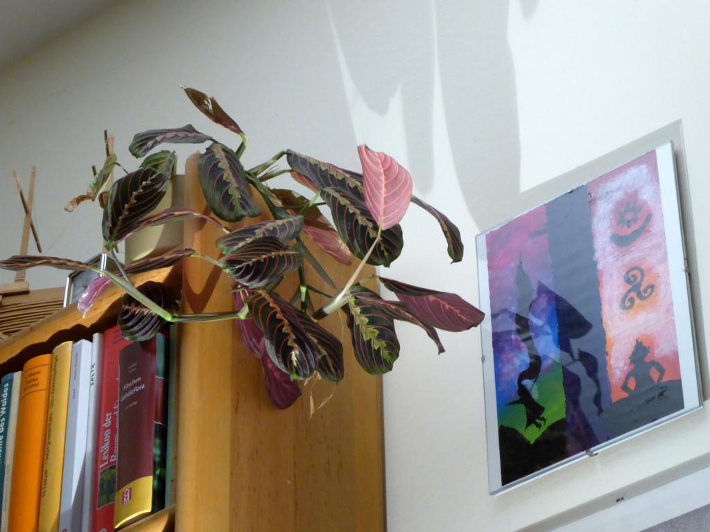 Bild
