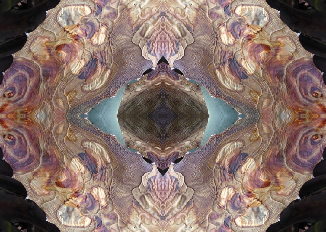 Bild