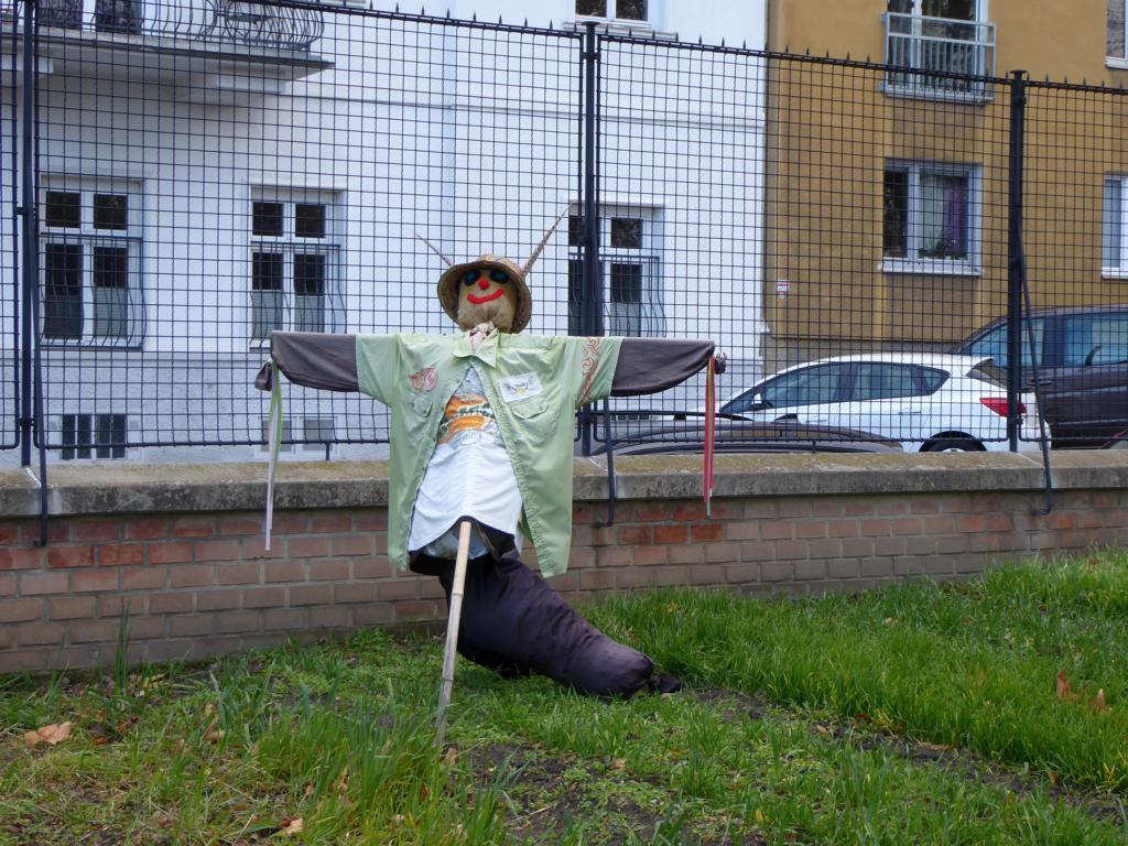 Bild
