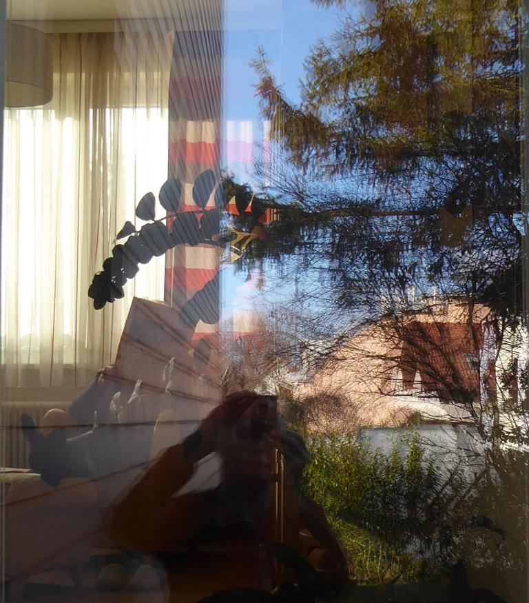 Bild