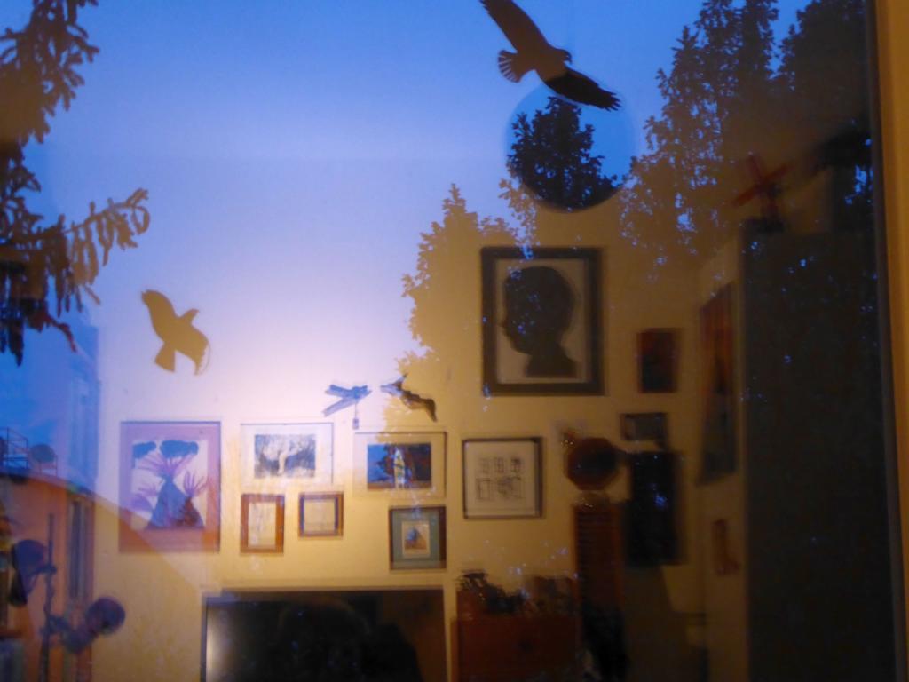 Bild