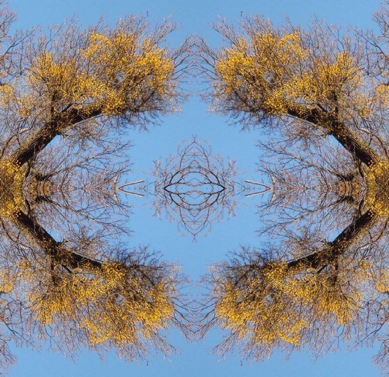 Bild