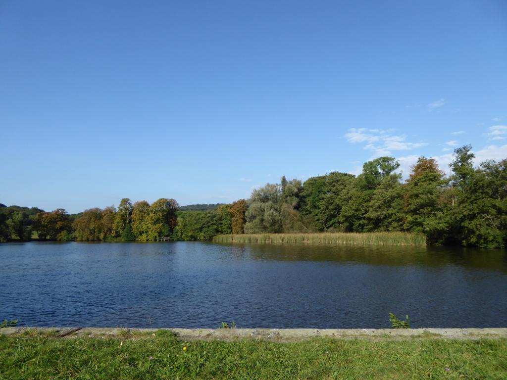 botanischespaziergaenge.at • Thema anzeigen 21.09.2014 60BLainzer
