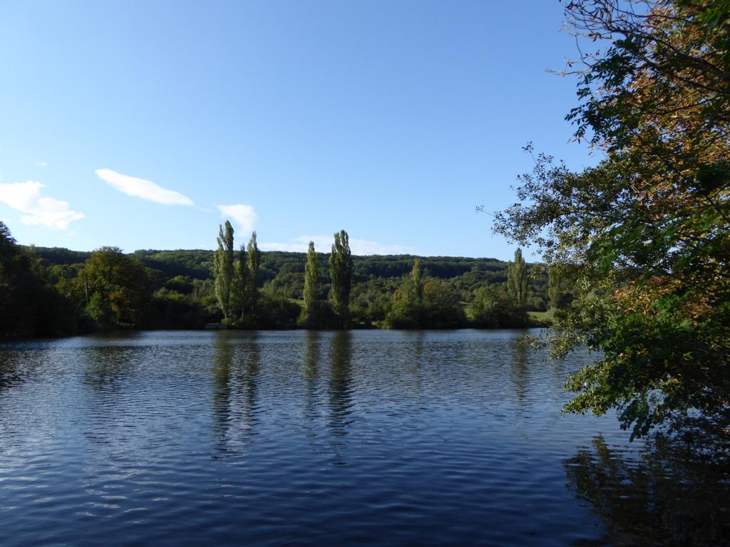 botanischespaziergaenge.at • Thema anzeigen 21.09.2014 60BLainzer