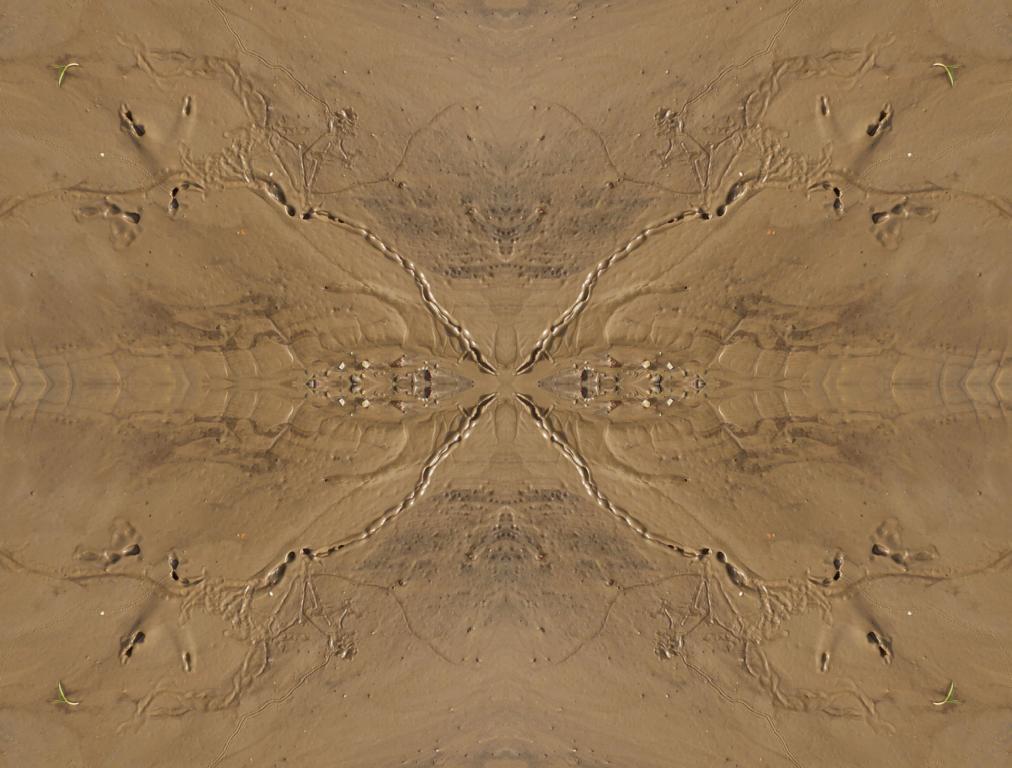 Bild