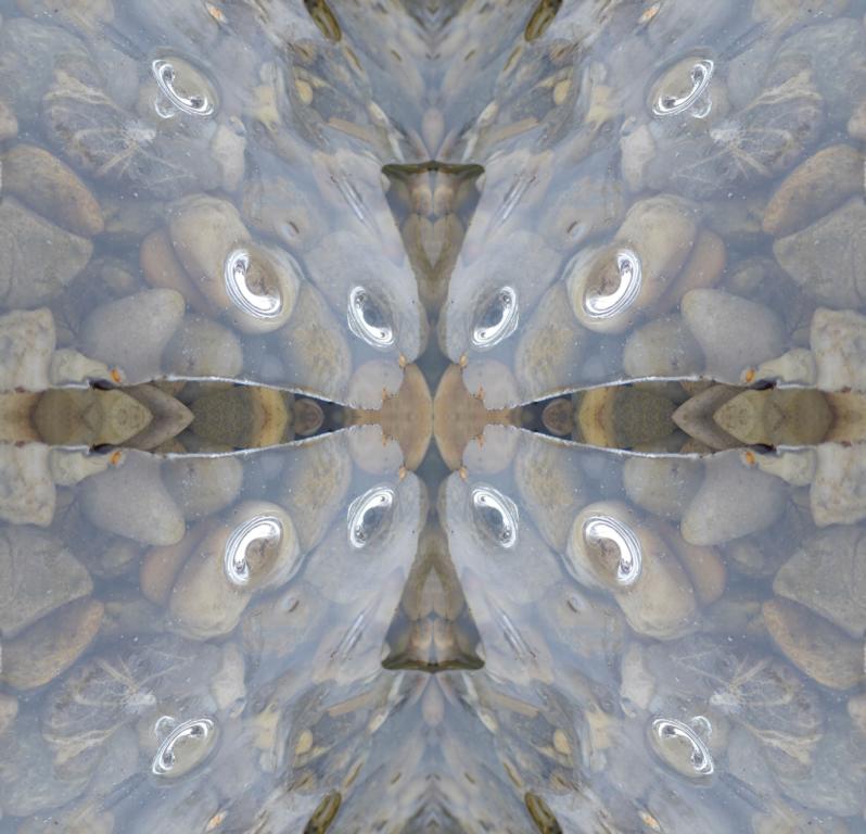 Bild