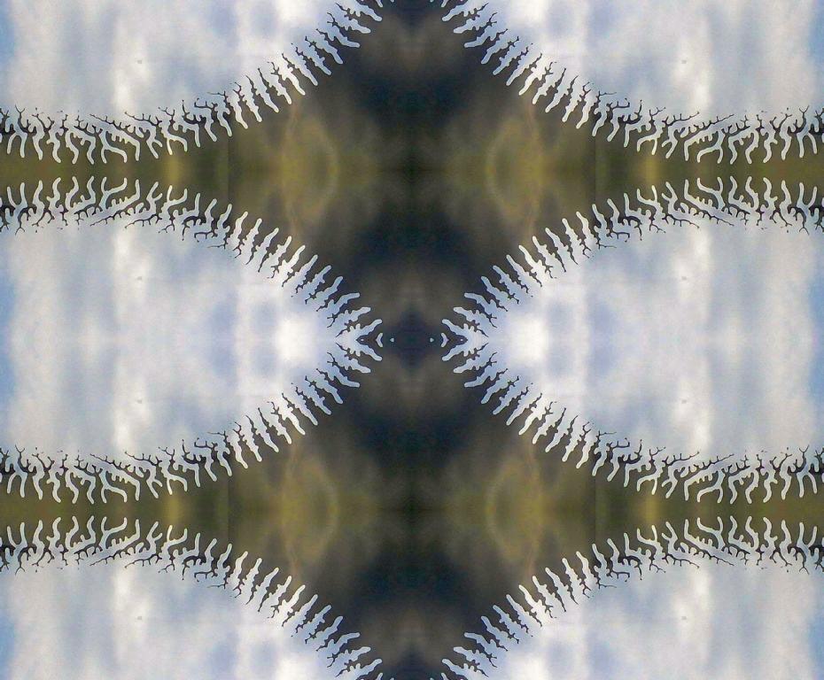Bild